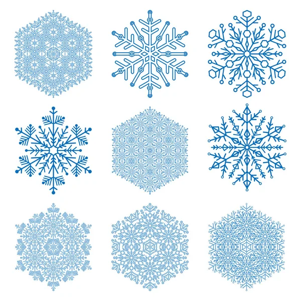 Set of Vector Snowflakes — Stock Vector