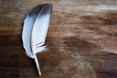 Beyaz tüylü, ahşap desenli bir elbisenin masa üstü görüntüsü. Kuş tüyü..