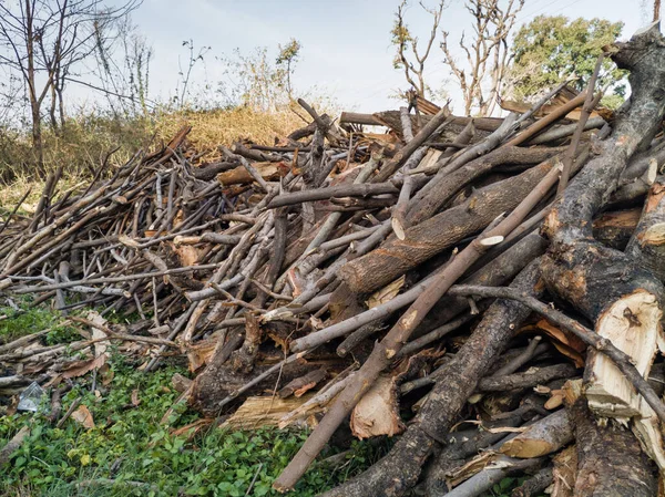 Montones Leña Recogidos Por Los Aldeanos Del Bosque — Foto de Stock