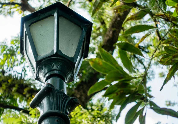 Yol kenarında uzun bir lamba direği ve arkasında yeşil ağaçlar var..