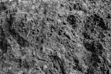 Bir kayanın yakın çekimi..