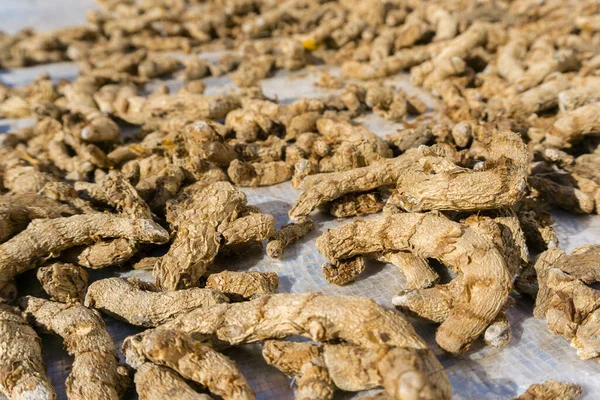 Tiro Perto Raiz Cúrcuma Seca Cúrcuma Uma Especiaria Comum Que — Fotografia de Stock