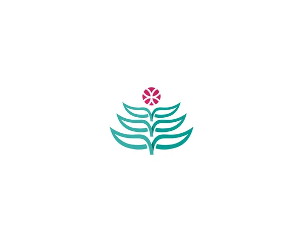Diseño Del Logotipo Del Vector Hoja Árbol Concepto Ecológico — Foto de Stock