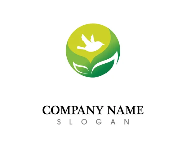 Diseño Del Logotipo Del Vector Hoja Árbol Concepto Ecológico — Foto de Stock