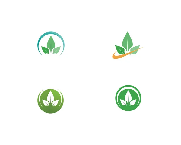 Projeto Logotipo Vetor Folha Árvore Conceito Eco Amigável — Fotografia de Stock