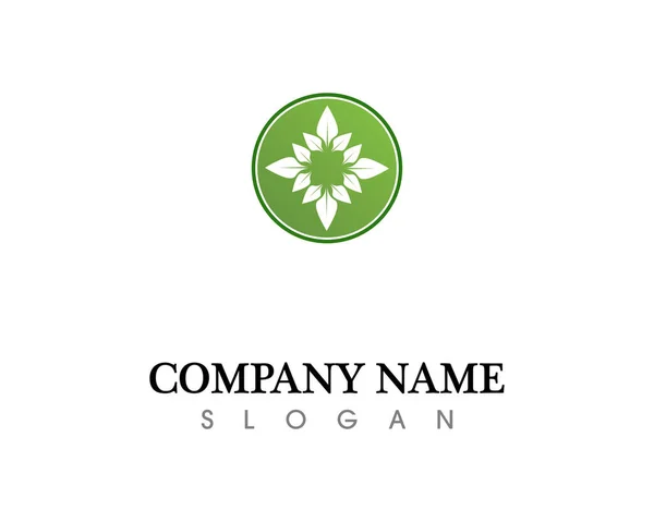 Tree Leaf Vector Logo Design Eco Friendly Concept — Stock Photo, Image