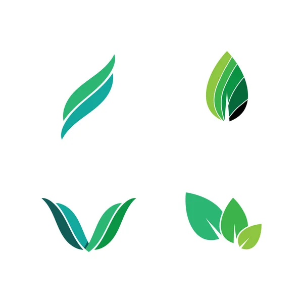 Σχεδιασμός Λογότυπου Φύλλου Δέντρου Φιλική Προς Περιβάλλον Έννοια — Διανυσματικό Αρχείο