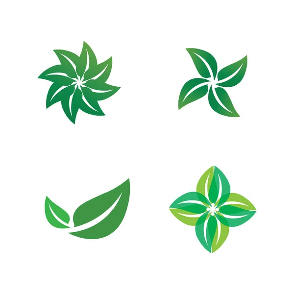 Diseño Del Logotipo Del Vector Hoja Árbol Concepto Ecológico — Vector de stock