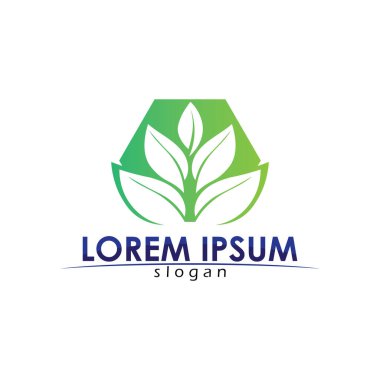 Ağaç yaprağı vektör logosu tasarımı çevre dostu kavram