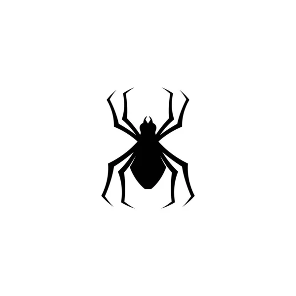 Spider Vector Insect Animal Design Logo — Stock Vector