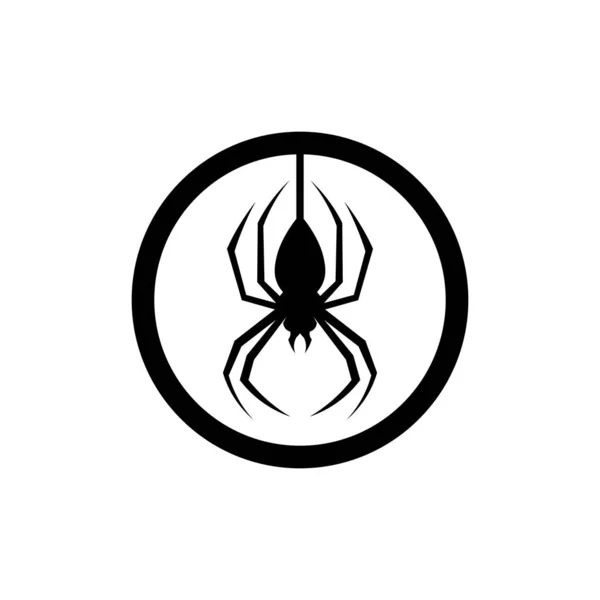 Vector Araña Insecto Logotipo Diseño Animal — Vector de stock