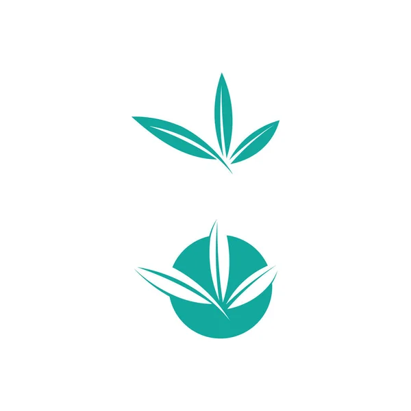 Stromový List Vektor Logo Design Ekologický Koncept — Stockový vektor
