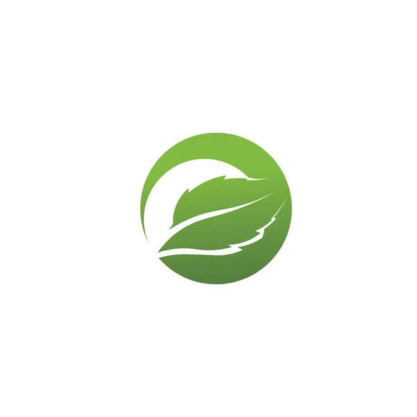 Logo Wektora Drzewa Projekt Przyjazny Dla Środowiska Koncepcja — Wektor stockowy