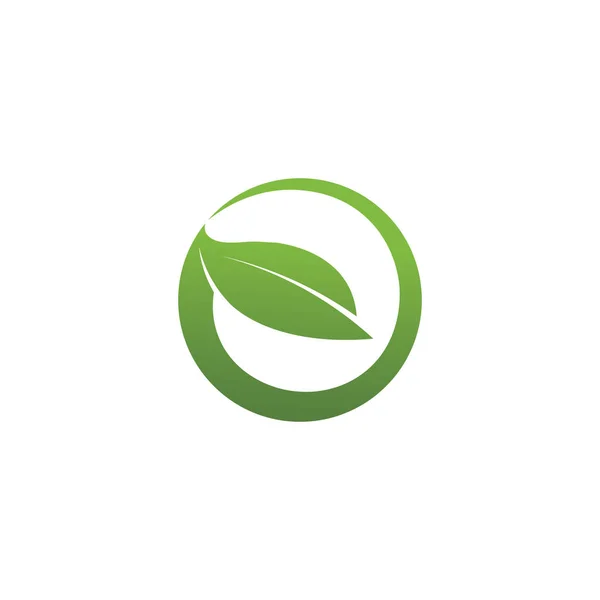 Tree Leaf Vector Logo Design Concetto Ecologico — Vettoriale Stock