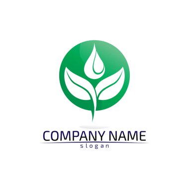 Ağaç yaprağı vektör logosu tasarımı çevre dostu kavram