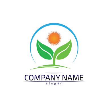 Ağaç yaprağı vektör logosu tasarımı çevre dostu kavram