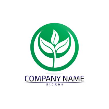 Ağaç yaprağı vektör logosu tasarımı çevre dostu kavram