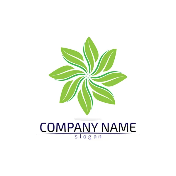 Tree Leaf Vector Logo Design Eco Friendly Concept — Stock Vector