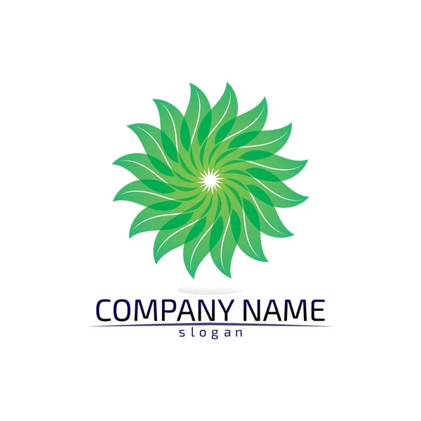 Træblad Vektor Logo Design Miljøvenligt Koncept – Stock-vektor