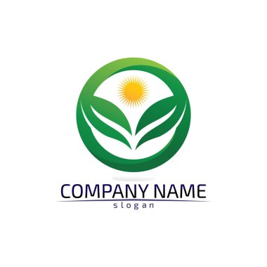 Ağaç yaprağı vektör logosu tasarımı çevre dostu kavram
