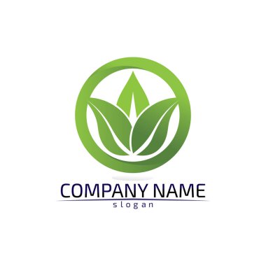 Ağaç yaprağı vektör logosu tasarımı çevre dostu kavram