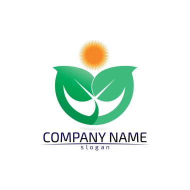 Ağaç yaprağı vektör logosu tasarımı çevre dostu kavram