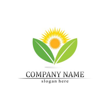 Güneş ağacı yaprağı Vektör illüstrasyonu Simge Logo Şablonu tasarımı