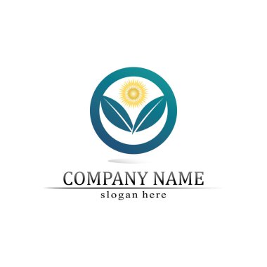 Güneş ağacı yaprağı Vektör illüstrasyonu Simge Logo Şablonu tasarımı