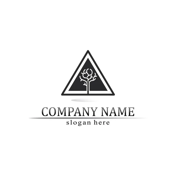 Triangle Pyramide Logo Design Vecteur Symbole Égyptien Logo Entreprise — Image vectorielle