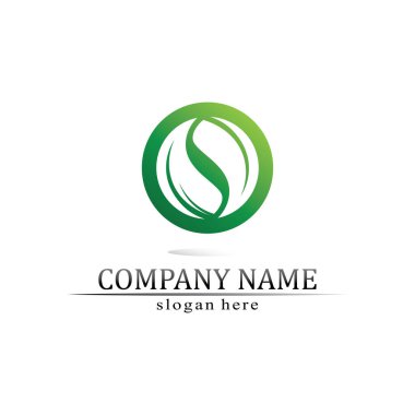 Ağaç yaprağı vektörü ve yeşil logo tasarımı dostane kavram 