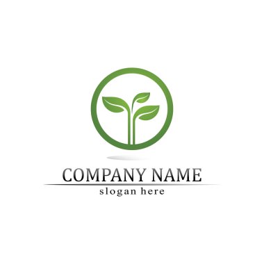 Ağaç yaprağı vektörü ve yeşil logo tasarımı dostane kavram 