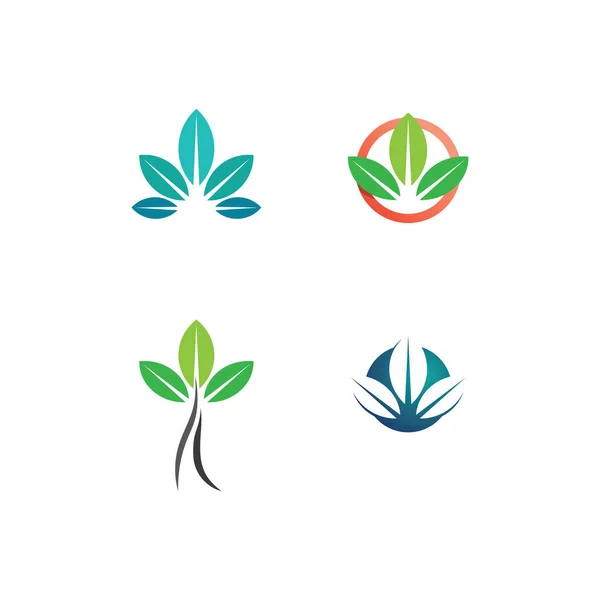 Δέντρο Διάνυσμα Φύλλων Και Πράσινο Λογότυπο Σχεδιασμό Φιλική Έννοια — Διανυσματικό Αρχείο