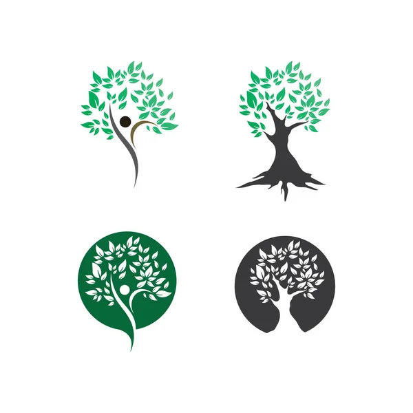 Ağaç yaprağı vektörü ve yeşil logo tasarımı dostane kavram 