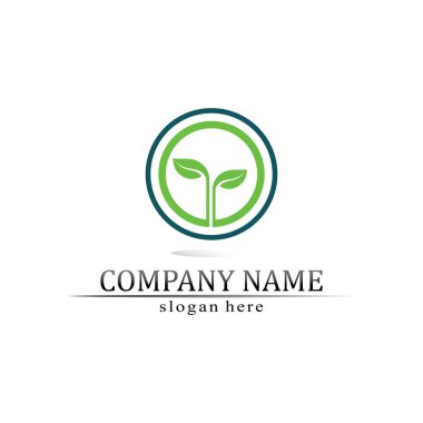 Ağaç yaprağı vektörü ve yeşil logo tasarımı dostane kavram 