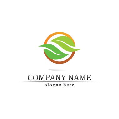 Ağaç yaprağı vektörü ve yeşil logo tasarımı dostane kavram 