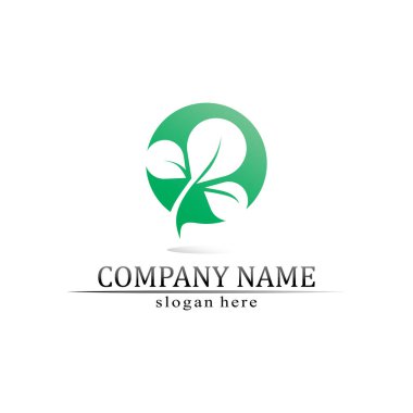 Ağaç yaprağı vektörü ve yeşil logo tasarımı dostane kavram 