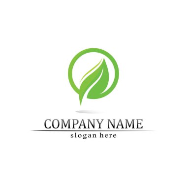 Ağaç yaprağı vektörü ve yeşil logo tasarımı dostane kavram 