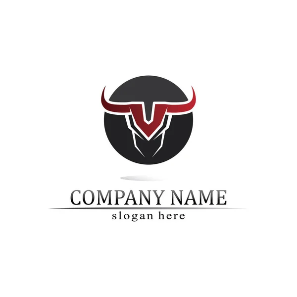 Bull Logo Koe Dier Logo Vector Hoorn Buffel Logo Symbolen — Stockvector