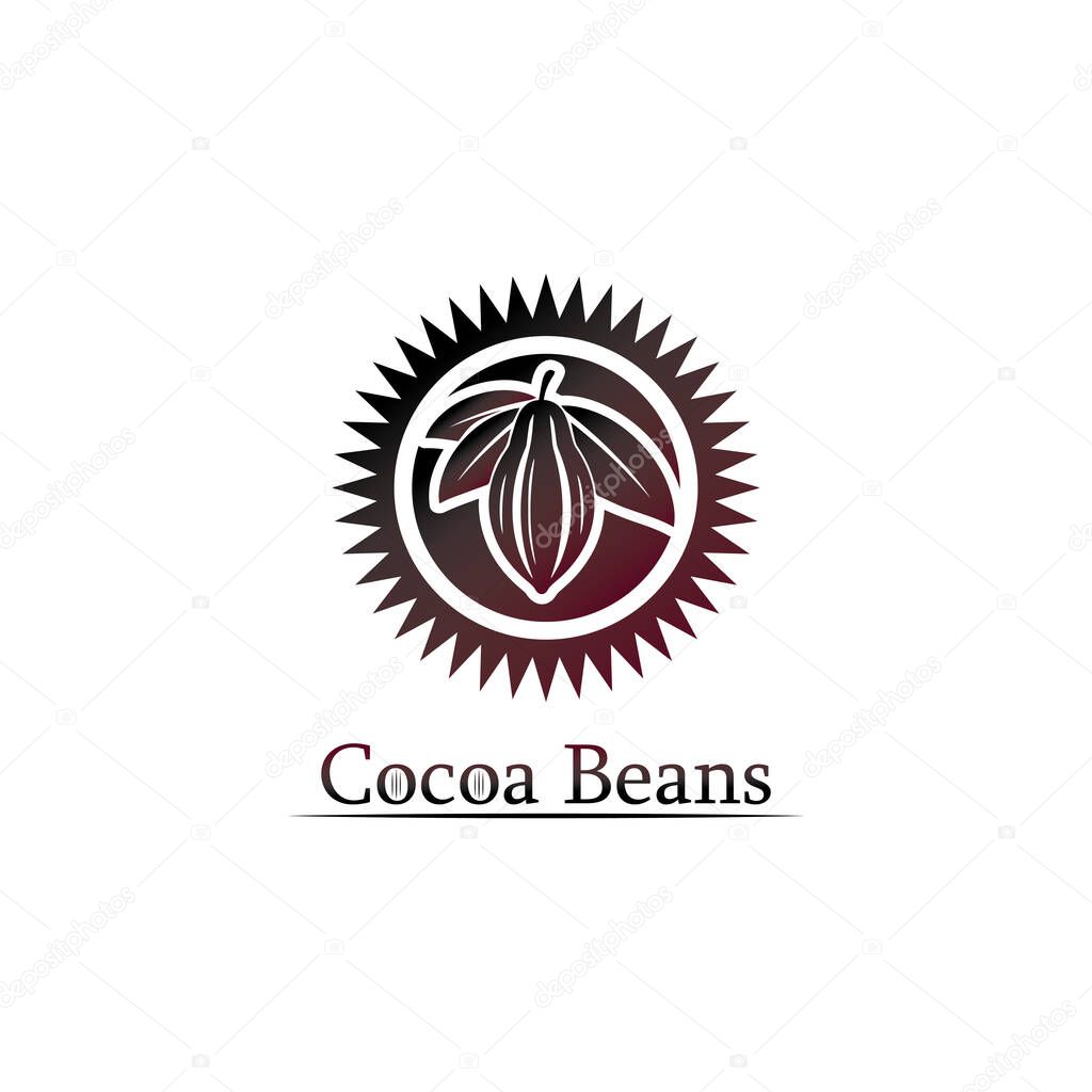 Chocolate logo and cocoa icon and vector design nut and nut delicious