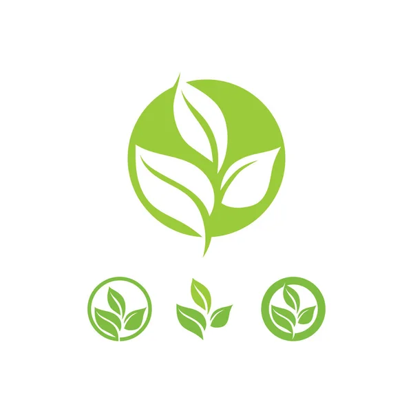 Logo Leaf Nature Tree Vettore Impresa Ecologia Verde Progettazione Icona — Vettoriale Stock