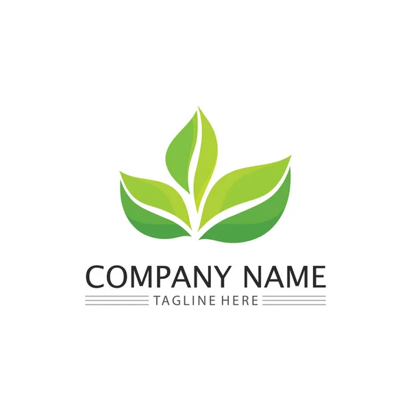 Leaf Och Natur Tree Logo För Business Vector Green Plant — Stock vektor