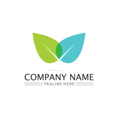 Ağaç yaprağı vektörü ve yeşil logo tasarımı dostane kavram 