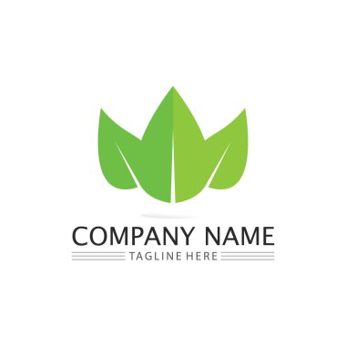 Ağaç yaprağı vektörü ve yeşil logo tasarımı dostane kavram 