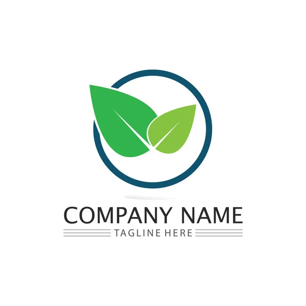 Tree Leaf Vector Green Logo Design Friendly Concept — Stock Vector