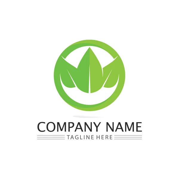 Vecteur Feuille Arbre Logo Vert Conception Concept Convivial — Image vectorielle