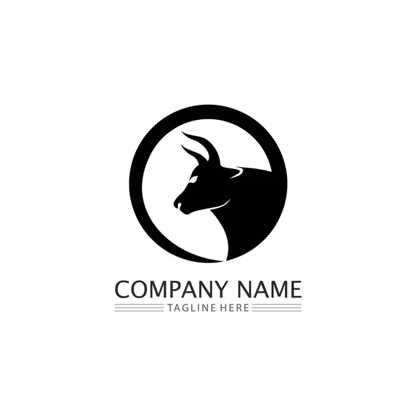 Bulle Büffelkopf Kuh Tier Maskottchen Logo Design Vektor Für Sporthorn — Stockvektor