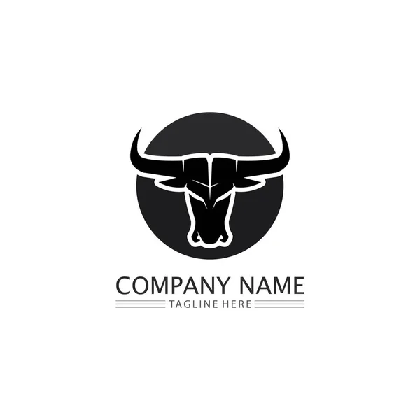 Bull Búfalo Cabeça Vaca Animal Mascote Logotipo Design Vetor Para — Vetor de Stock