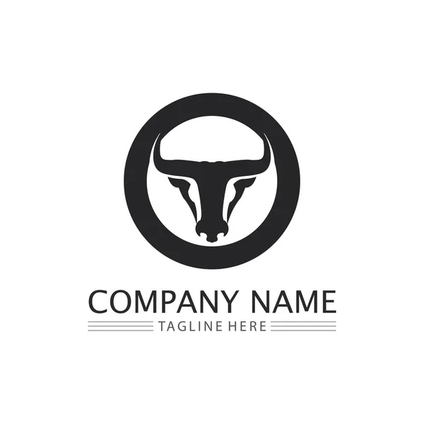 Bull Búfalo Cabeça Vaca Animal Mascote Logotipo Design Vetor Para —  Vetores de Stock