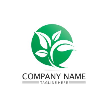 İŞ VECTOR GREEN ECOLOJY DESİGN İKONU 'NUN BAĞIRILMASI VE DOĞAN Ağaç Logosu