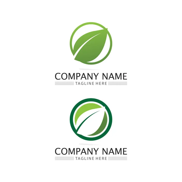Logo Leaf Nature Tree Vettore Impresa Ecologia Verde Progettazione Icona — Vettoriale Stock